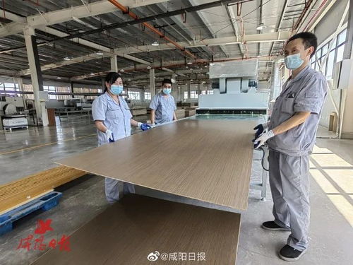 市委八届二次全会继续观摩重点项目建设 夏晓中等参加